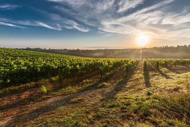 tuscany-428041_640