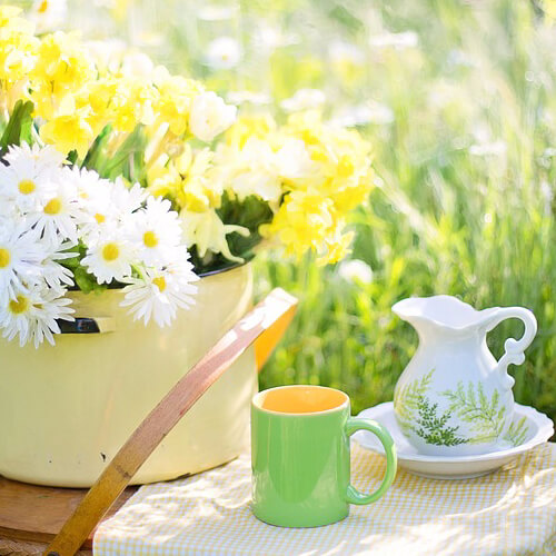 コーヒー・カフェのおすすめの資格！小さなカフェを経営・開業するために取っておくべき資格を紹介