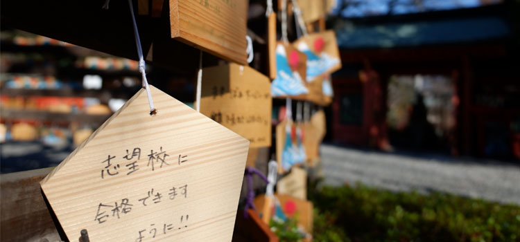 行政書士_合格